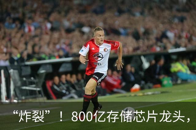 “炸裂”！800亿存储芯片龙头，第三季度净利润增长超2900%
