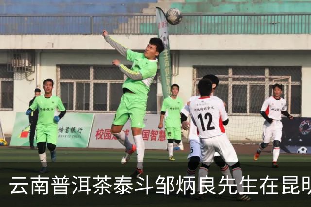 云南普洱茶泰斗邹炳良先生在昆明辞世
