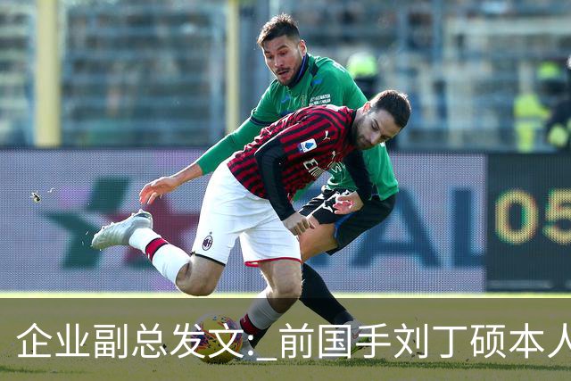 企业副总发文: 前国手刘丁硕本人就是饭圈，一直在给乒乓饭圈续命