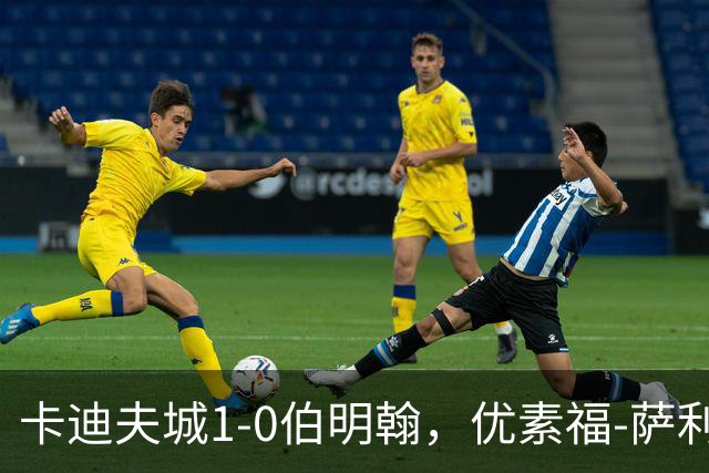 卡迪夫城1-0伯明翰，优素福-萨利赫一击制胜