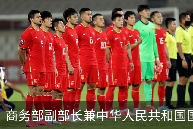 商务部副部长兼中华人民共和国国际贸易谈判副代表凌激会见德国敦豪集团首席执行官麦韬远