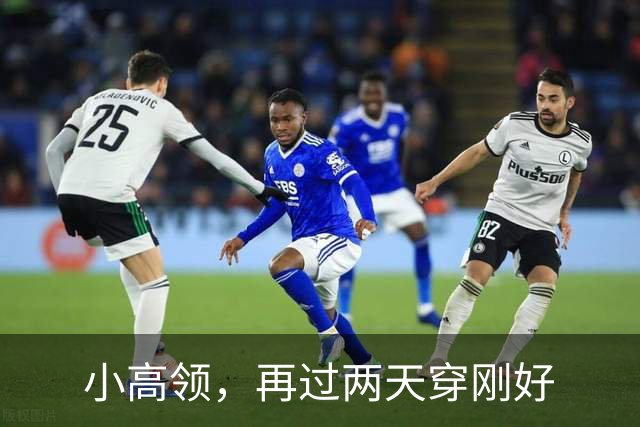 小高领，再过两天穿刚好