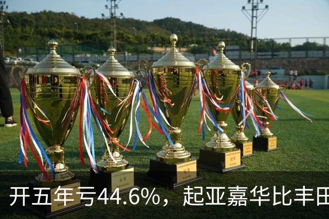 开五年亏44.6%，起亚嘉华比丰田赛那少卖近20个点