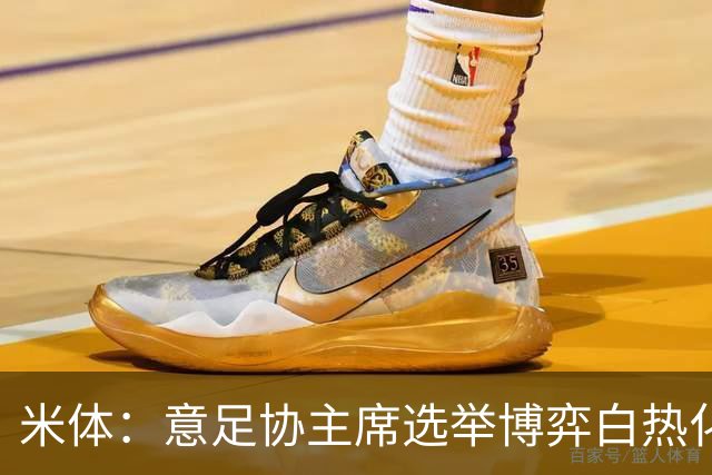 米体：意足协主席选举博弈白热化，14家俱乐部今日线上开会讨论人选