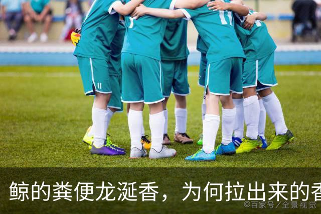 鲸的粪便龙涎香，为何拉出来的香且比黄金贵，人工取出来的臭？