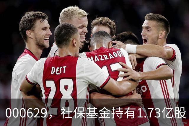 000629，社保基金持有1.73亿股